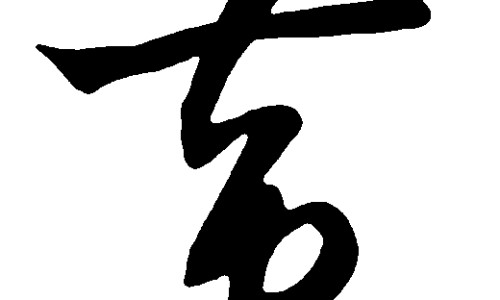 半芝莲图片网 | 半芝灵图片,半芝莲是治什么病的