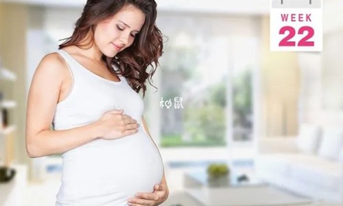 半芝连长什么样子-半芝莲图片网 | 半芝灵图片,半芝莲是治什么病的