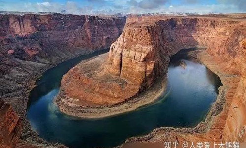 半芝莲是治什么病的-半芝莲图片网 | 半芝灵图片,半芝莲是治什么病的